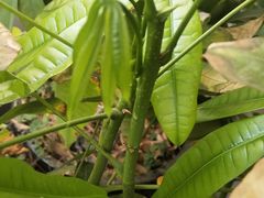 -禾源面馆(文化路四角店)