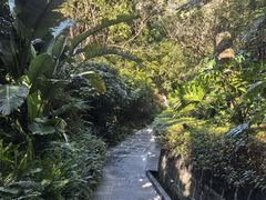 -腾冲洞山温泉村