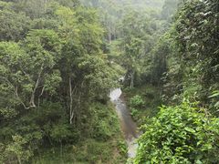 -野象谷景区