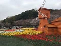 -苏州上方山国家森林公园