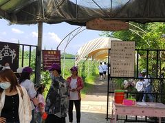 -金谷域澳洲庄园