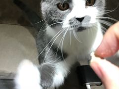 -猫和宫(六道口店)