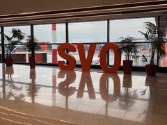 -谢列梅捷沃国际机场