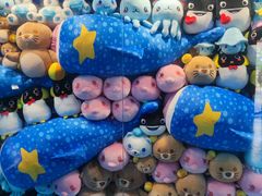 -上海海昌海洋公园