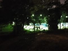 外围-中山大学（南校区）-英东游泳场