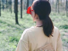 -合肥滨湖国家森林公园