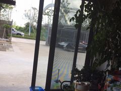 -南汇新场正宗水蜜桃采摘