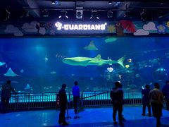 -烟台海昌鲸鲨海洋公园