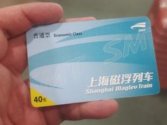 -龙阳路磁悬浮列车总站-停车场