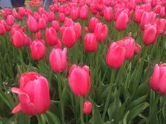 -长春公园(普阳街道)