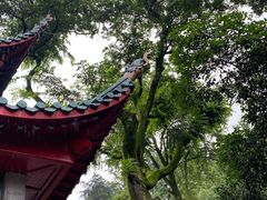 -岳麓山风景名胜区