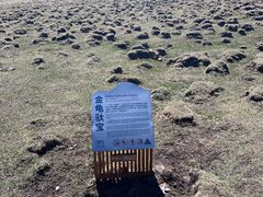 -芦芽山旅游度假区