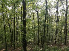 -襄阳烈士陵园(襄城区)