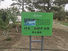 -大兴滨河森林公园