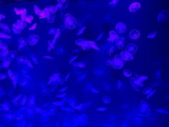 -沈阳海洋探索中心