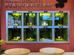 -芸山季·云南野生菌火锅(宝能环球汇店)