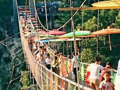 -九龙江国家森林公园