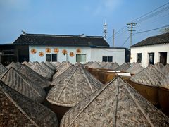 -苏州市吴中区光福窑上花果蜜饯厂