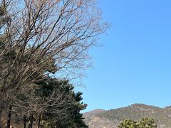 -北京西山国家森林公园