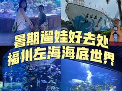 -左海海底世界