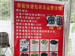 -马陆小张葡萄园农家乐