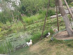 -北京北辰洲际酒店