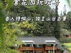 -梧桐山风景名胜区