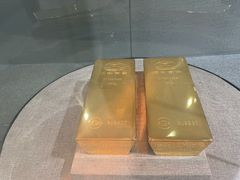 -烟台自然博物馆