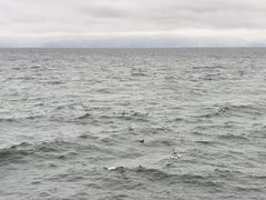 -抚仙湖禄充风景区