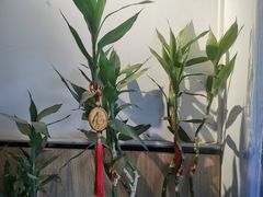 -长青菠菜面·烧烤