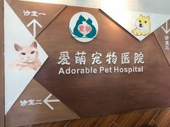 -美联众合宠物医院·爱萌分院·内外科·猫科中心