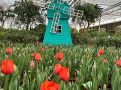 -南宫五洲植物乐园