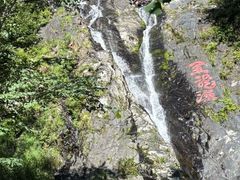-凤凰山国家森林公园