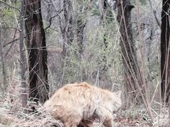 -北京西山国家森林公园