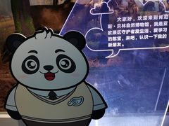 -陕西自然博物馆