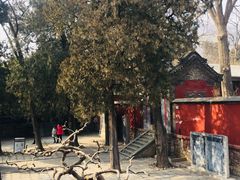 -泰山风景名胜区-普照寺