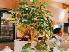 -西贝莜面村(正大广场店)