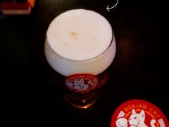 -Boxing Cat Brewery拳击猫精酿啤酒馆(永福店)