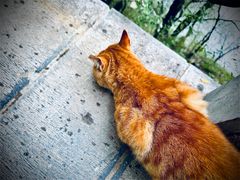 -终南山南五台景区