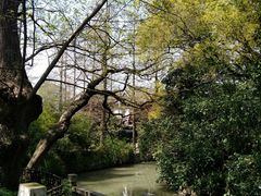 -汇龙潭