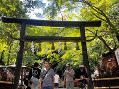 -野宫神社