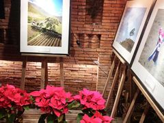 -花马天堂云南餐厅 Lost Heaven(高邮路店)