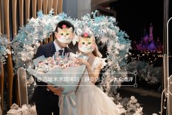 -迈瑞米求婚策划(静安店)