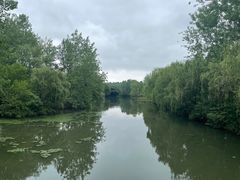 -溱湖国家湿地公园