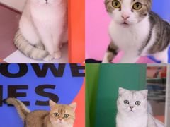 -福田卓悦INTOWN购物中心