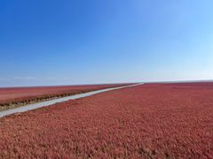 -红海滩国家风景廊道