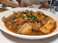 -全乐鱼馆·淳牌有机鱼直营店