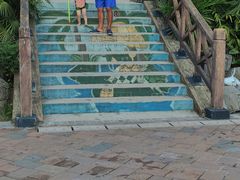-重庆海昌加勒比海水世界
