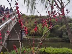 -绍兴东湖风景区