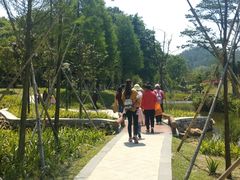 -中山市树木园